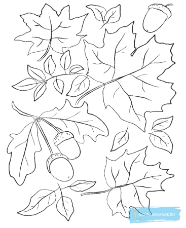 Осень раскраска для детей