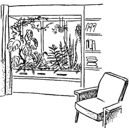 Эскиз комнаты с растениями