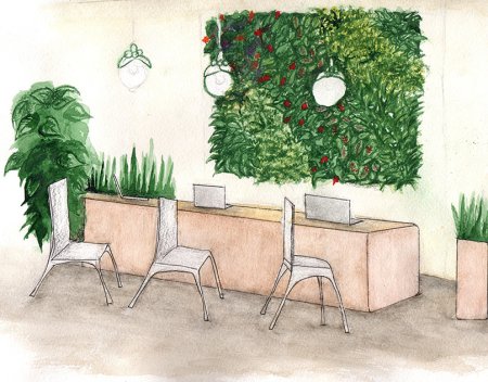Эскиз комнаты с растениями