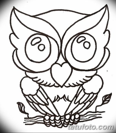 Эскиз Совы раскраска