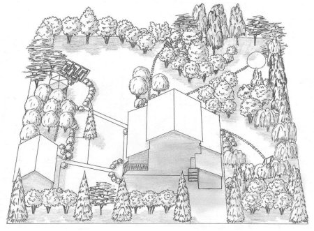 Генеральный план сада