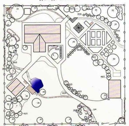 Sketchup планировка участка