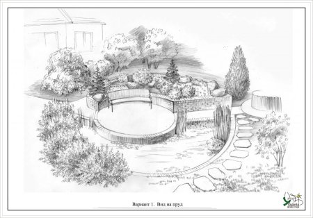 Эскиз дачного участка в карандаше