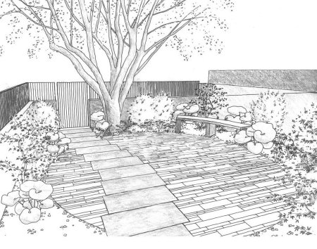 Приусадебный участок карандашом