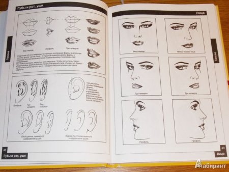 Методы подачи эскизов