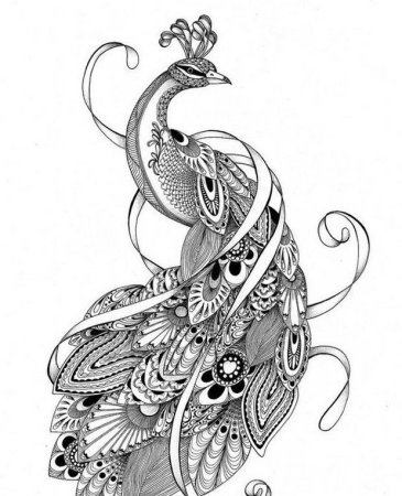 Зентангл Павлин