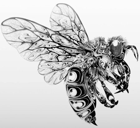 Черно белая Графика