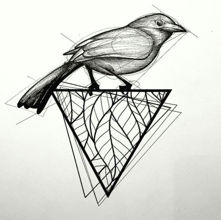 Птица в стиле скетч