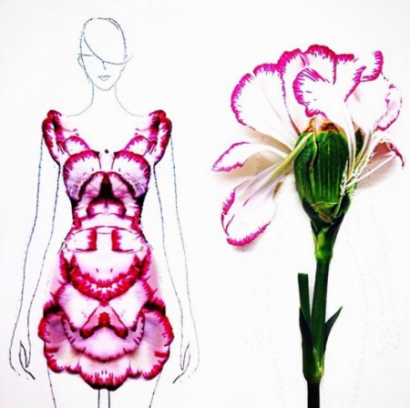 Стилизация растительных форм в костюме