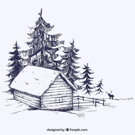 Зимний лес раскраска для детей