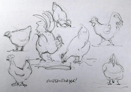 Курица набросок