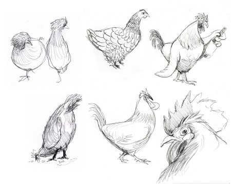 Наброски и зарисовки животных и птиц