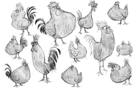 Курица набросок