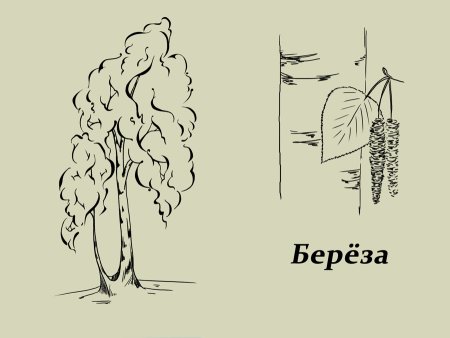 Стилизованная береза