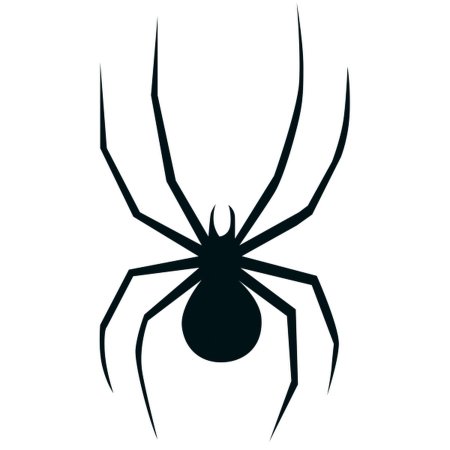 Паук рисунок