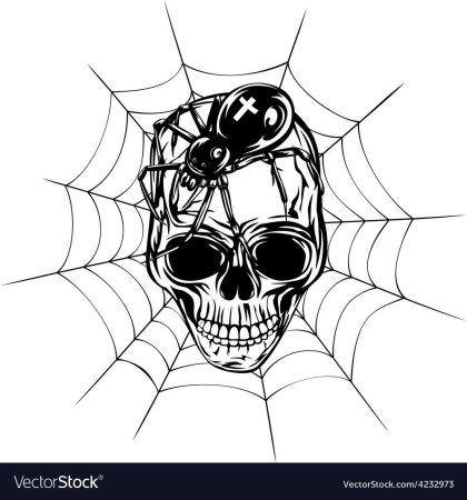 Паук тату эскиз
