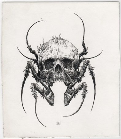 Паук череп тату эскиз