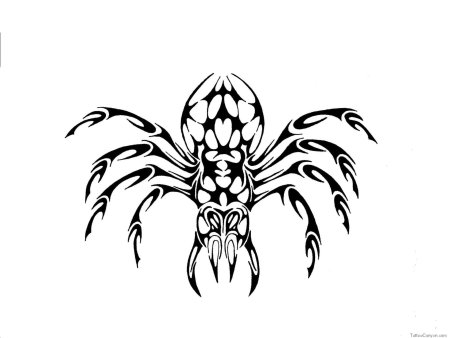 Эскизы пауков для тату