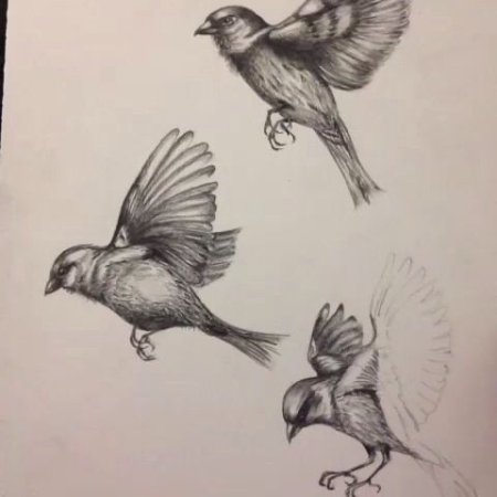Воробей скетч