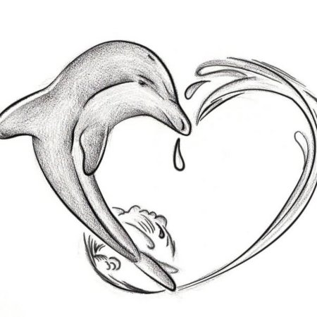 Эскиз дельфина