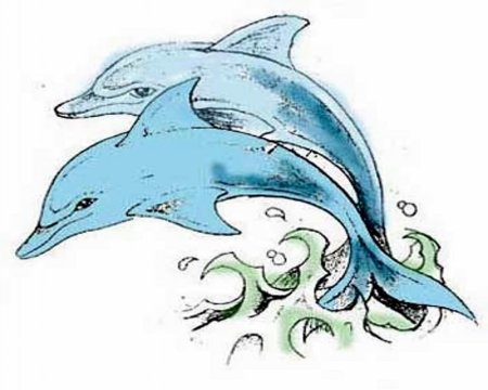 Дельфин набросок