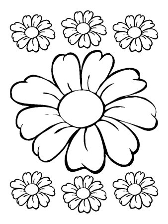 Эскиз рисунка цветок ромашка (47 фото)