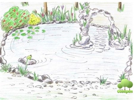 Зарисовки пруда