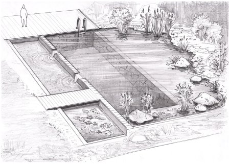 Ландшафтный проект с водоемом