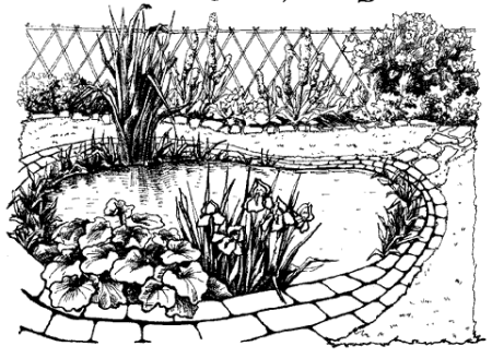 Эскиз водоема на участке