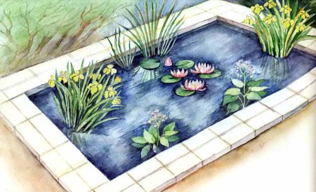 Эскиз декоративного водоема