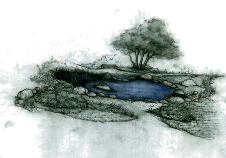 Эскиз водоема