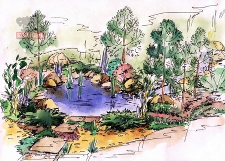 Эскиз водоема