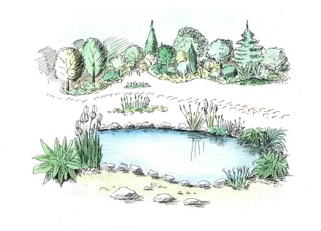 Эскиз водоема