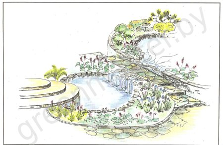 Схема озеленения водоема