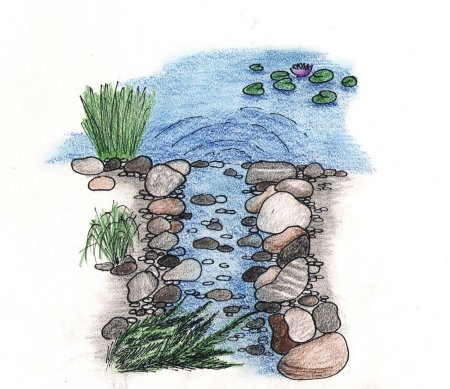 Эскиз декоративного водоема