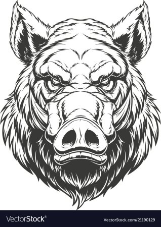 Морда кабана