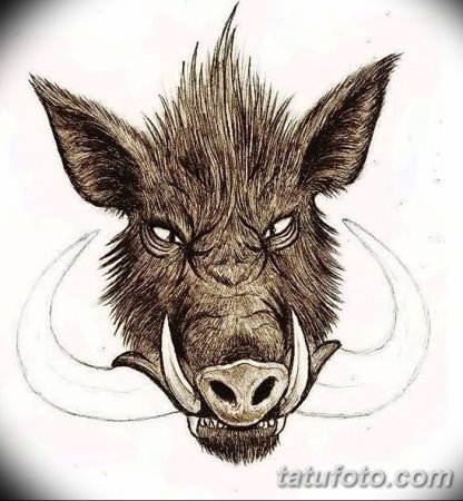 Морда кабана тату