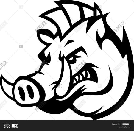 Векторное изображение кабана