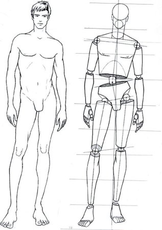Референс тела в полный рост