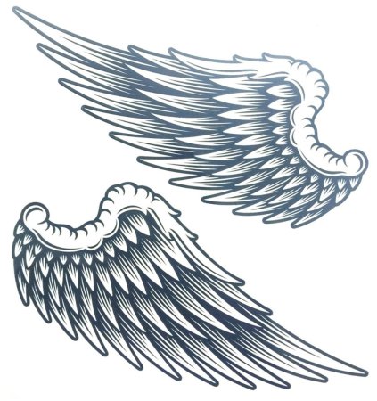 Крылья эскиз