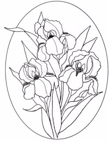 Рисунок эскиз цветы для витража (47 фото)