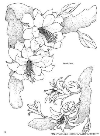 Цветы Наброски для батика