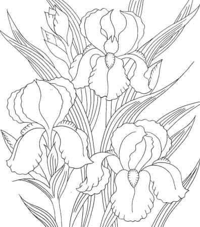 Люневильская вышивка ирисы