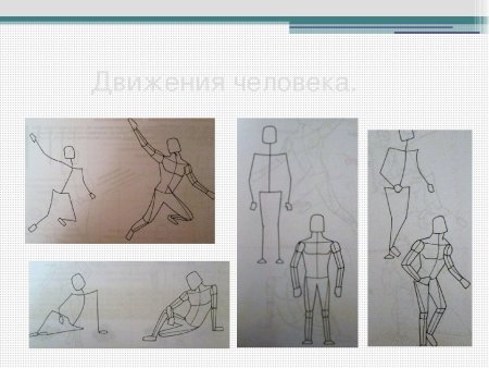 Баммес торс