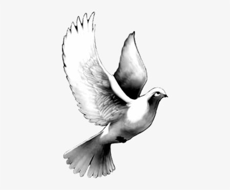Голубка тату эскиз