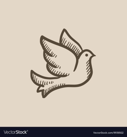 Эскиз черно белые голуби