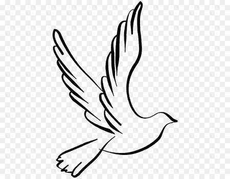 Птица символ свободы