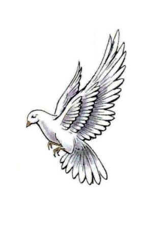 Голубь эскиз