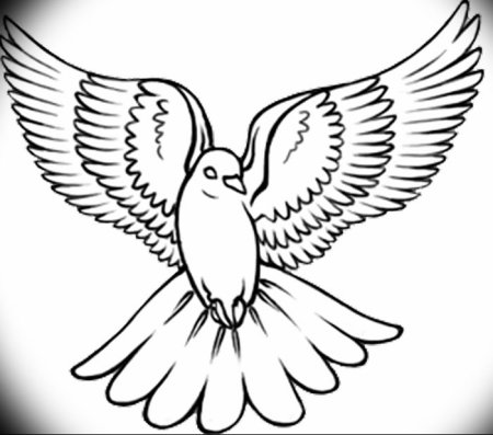 Голубь мира трафарет