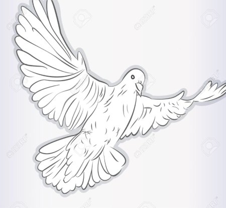 Голубь рисунок эскиз